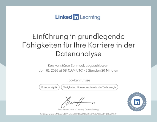 Einführung in grundlegende Fähigkeiten für Ihre Karriere in der Datenanalyse